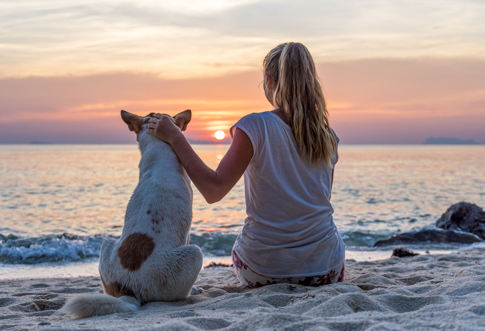 pet friendly outer banks rentals